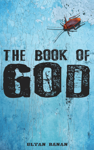 The Book of God by Ultan Banan book cover